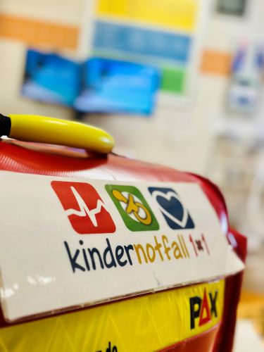 EPALS - European Pediatric Advanced Life Support Provider Course 